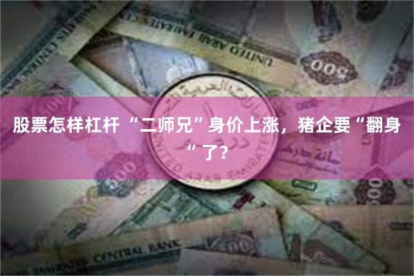 股票怎样杠杆 “二师兄”身价上涨，猪企要“翻身”了？