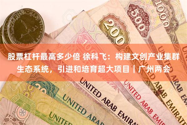 股票杠杆最高多少倍 徐科飞：构建文创产业集群生态系统，引进和培育超大项目｜广州两会