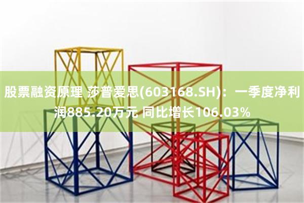 股票融资原理 莎普爱思(603168.SH)：一季度净利润885.20万元 同比增长106.03%