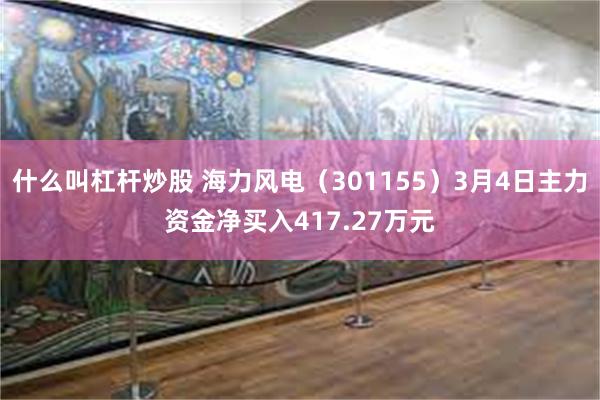 什么叫杠杆炒股 海力风电（301155）3月4日主力资金净买入417.27万元