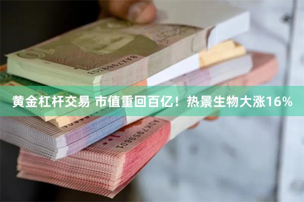 黄金杠杆交易 市值重回百亿！热景生物大涨16%