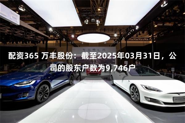 配资365 万丰股份：截至2025年03月31日，公司的股东户数为9,746户