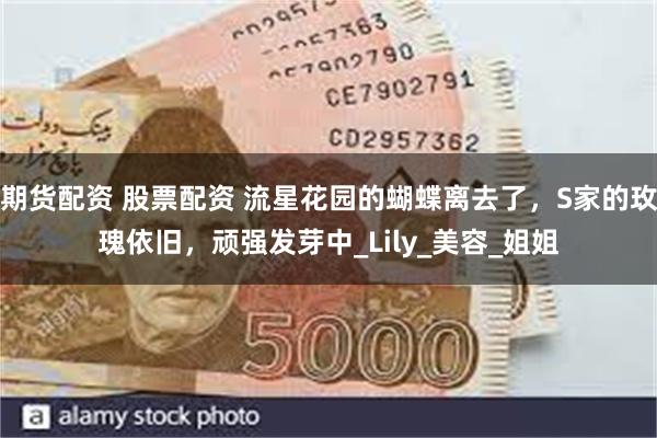 期货配资 股票配资 流星花园的蝴蝶离去了，S家的玫瑰依旧，顽强发芽中_Lily_美容_姐姐