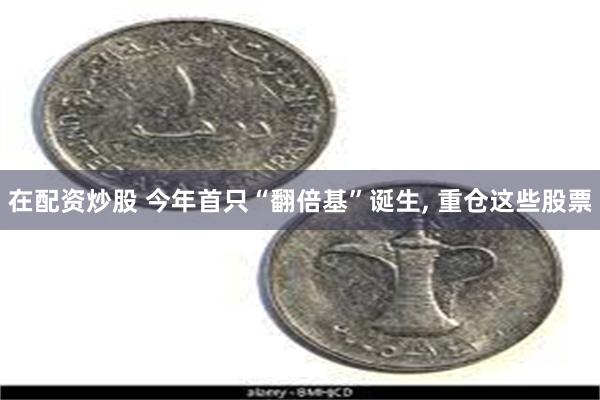 在配资炒股 今年首只“翻倍基”诞生, 重仓这些股票